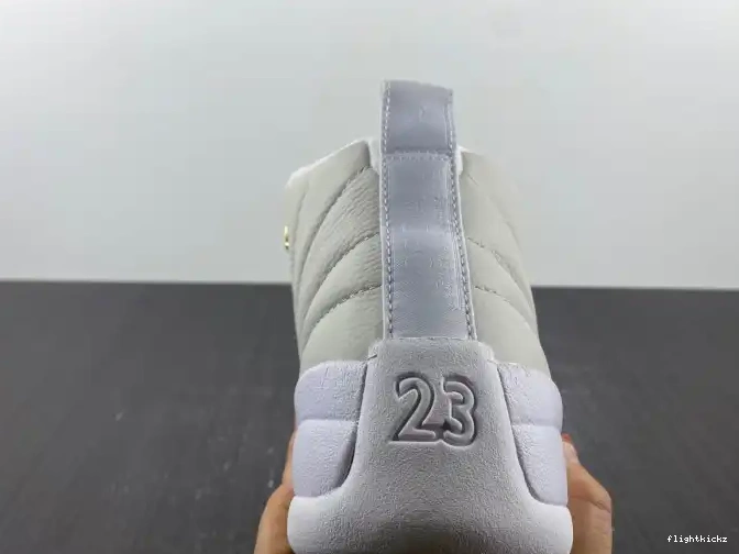 Retro White 873864-102 Jordan OVO 12 0614